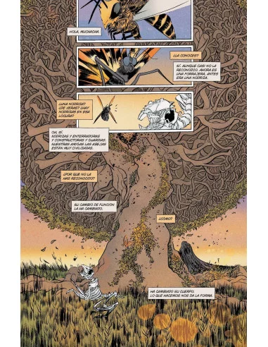 es::Bella Muerte 2. El oso