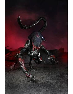 es::Aliens Figura Night Cougar Alien Kenner Tribute 23 cm 2