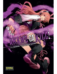 es::Akame Ga Kill! 06 de 15