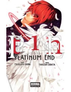 es::Platinum End 01