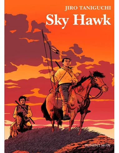 es::Sky Hawk