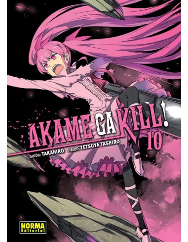 es::Akame Ga Kill! 10 de 15