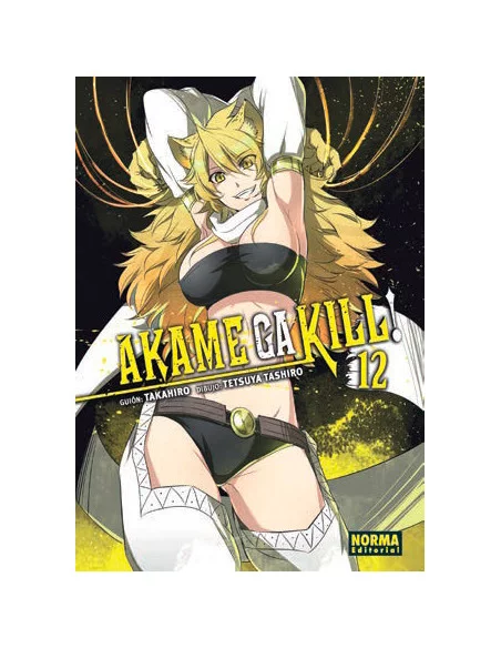 es::Akame Ga Kill! 12 de 15