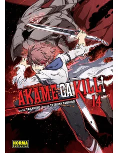 es::Akame Ga Kill! 14 de 15
