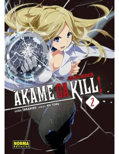 es::Akame Ga Kill! Zero 02