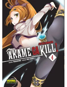 es::Akame Ga Kill! Zero 04
