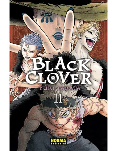 es::Black Clover 11