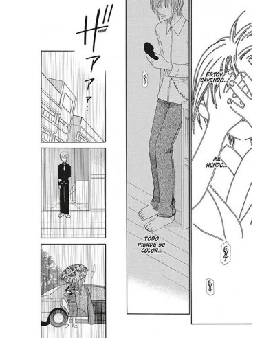 es::Fruits Basket Ed. Coleccionista 07 de 12