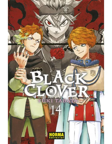 es::Black Clover 14