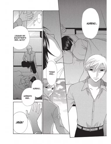 es::Fruits Basket Ed. Coleccionista 09 de 12