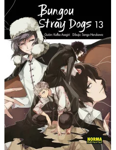 es::Bungou Stray Dogs 13