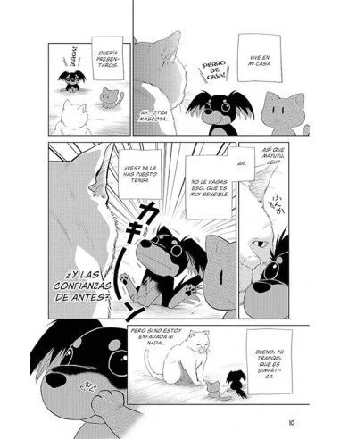 es::Historias absurdas 02. Otro gato