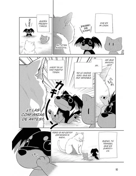 es::Historias absurdas 02. Otro gato