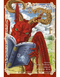 es::Dragón busca casa 01