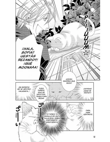 es::Historias absurdas 03. Era el mismo gato todo el tiempo