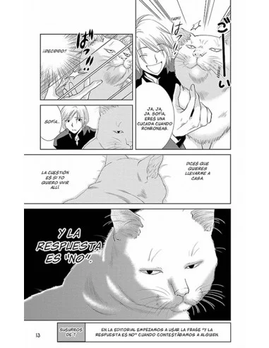 es::Historias absurdas 03. Era el mismo gato todo el tiempo