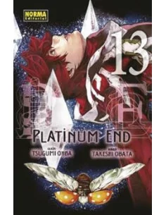es::Platinum End 13