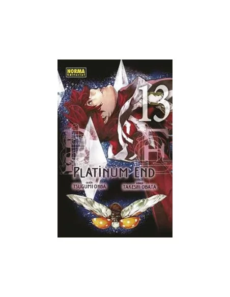 es::Platinum End 13