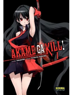 es::Akame Ga Kill! 01 de 15