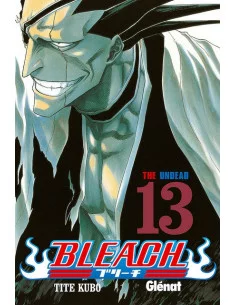 es::Bleach 13