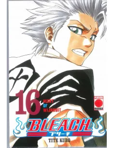 es::Bleach 16: Night of Wijnruit