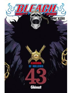 es::Bleach 43