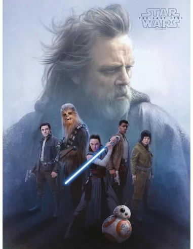 es::Star Wars Episodio VIII Grupo Resistencia Póster de vidrio 30 x 49 cm