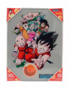 es::Dragon Ball Póster de vidrio Personajes 30 x 40 cm