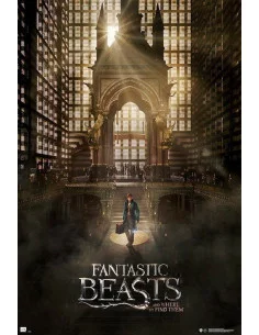 es::Animales Fantásticos Póster 1. 61 x 91 cm