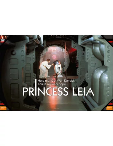 es::Star Wars Póster de Vidrio Leia Help me... 90x60 cm