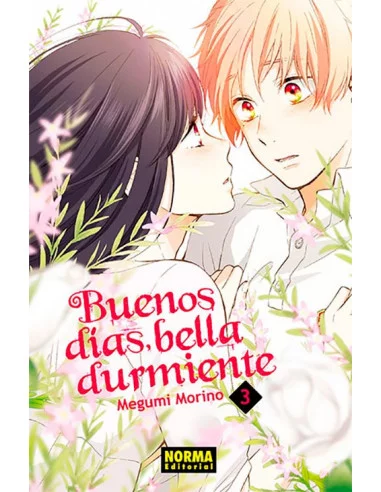 es::Buenos días, bella durmiente 03 de 6