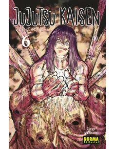 es::Jujutsu Kaisen 06