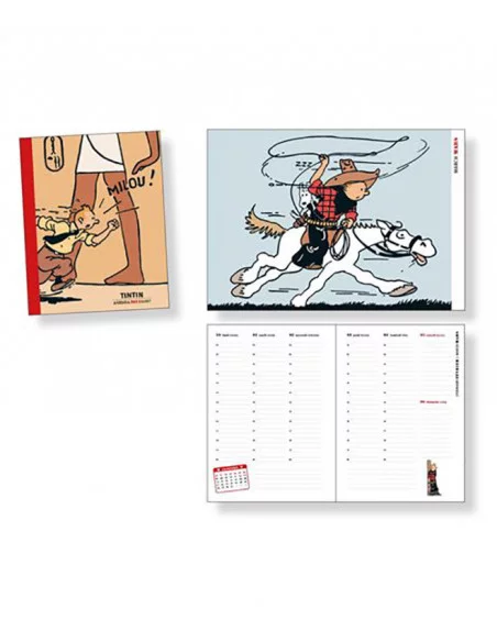 es::Agenda Tintín 2022 Grande