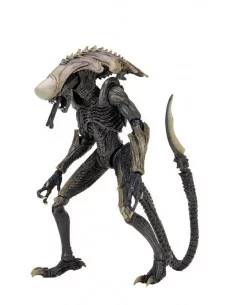 es::Alien vs Predator Pack 3 Figuras 20 cm-1