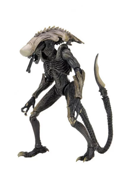 es::Alien vs Predator Pack 3 Figuras 20 cm-1