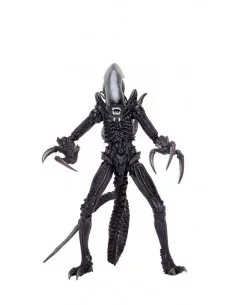 es::Alien vs Predator Pack 3 Figuras 20 cm-1 2