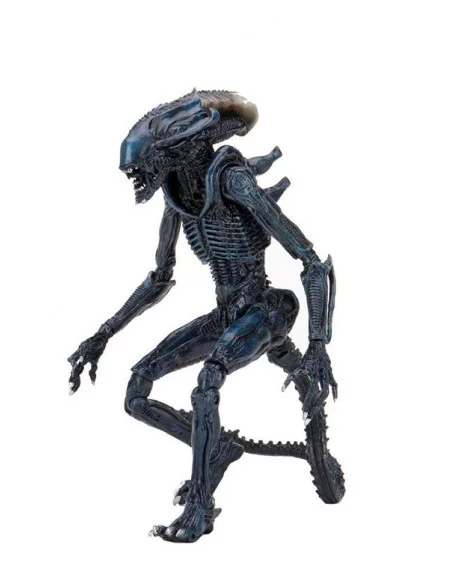 es::Alien vs Predator Pack 3 Figuras 20 cm
