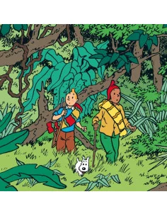 es::Tintín Calendario Save the Planet 2021 2