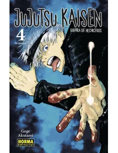 es::Jujutsu Kaisen 04