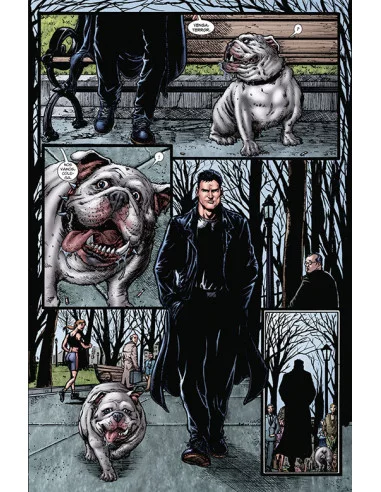 es::The Boys integral vol. 01 de 3