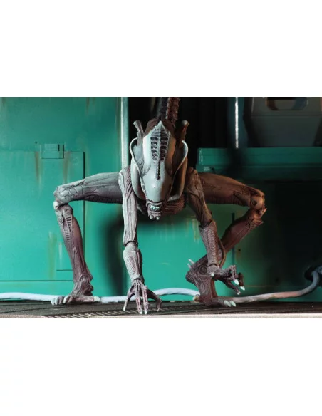 es::EMBALAJE DAÑADO. Alien vs Predator Videogame Figura Arcade Arachnoid Alien 22 cm