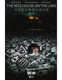 The Nice House on the Lake...