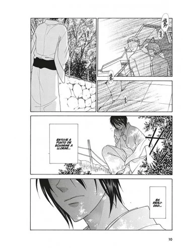 es::Fruits Basket Ed. Coleccionista 11 de 12