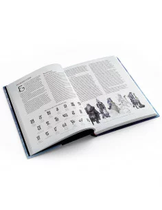 es::D&D El trueno del Rey de la Tormenta - Aventura para el juego de rol Dungeons & Dragons 2