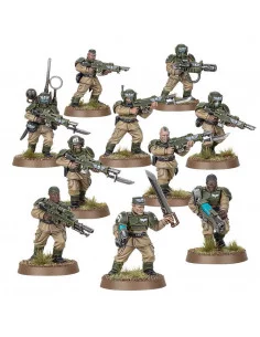 es::Tropas de Choque de Cadia - Warhammer 40,000 2
