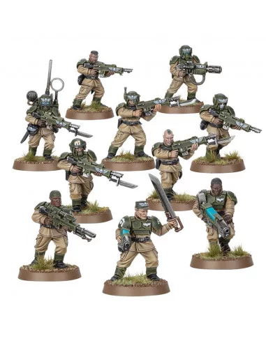 es::Tropas de Choque de Cadia - Warhammer 40,000