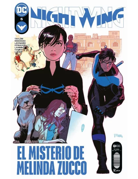 es::Nightwing 05