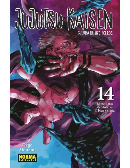 es::Jujutsu Kaisen 14