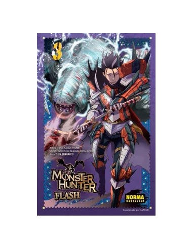 es::Monster Hunter Flash! 03 de 10