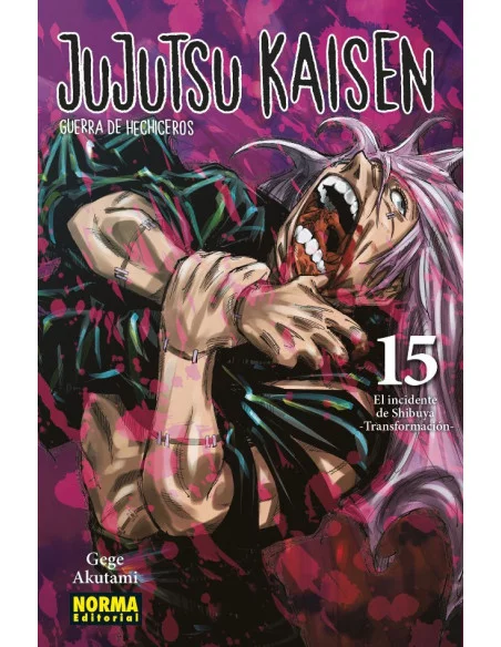 es::Jujutsu Kaisen 15